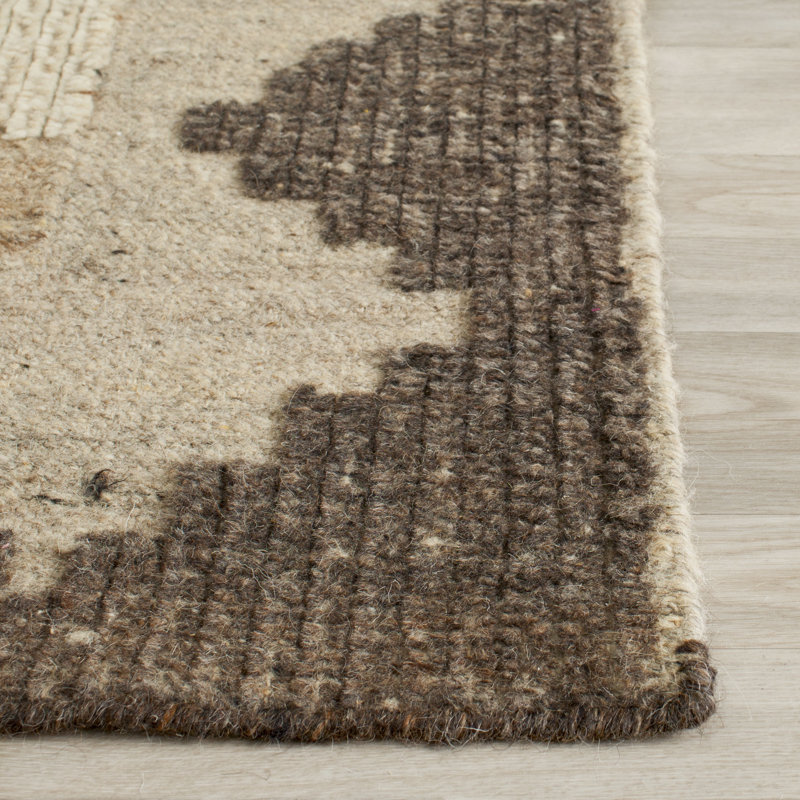 Alimatou Hand Knotted Wool/Cotton Southwestern Rug in Brown/Charcoal, Rectangle 8' x 10'