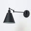 Cidni Swing Arm Sconce-454390296