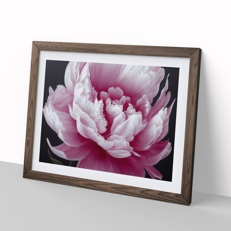 Splendid Peony Flower - Framed Print, 46cm H x 64cm W x 2cm D, Walnut