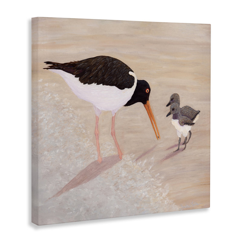 Toile American Oyster Catcher & Chicks, conception par Barbara Fallenbaum, H 36 po x l 36 po