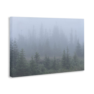 Foggy Forest Trees Canvas Wall Art by Hunter Page Photography