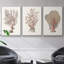 Sandstone Peel I - ensemble de 3 reproductions sur toile-97706491-97706492