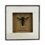 Cadres, ensemble / 3, os blanc / corne ciselée: 3 po x 3 po x 0,5, Rnd: 3,5 po x 3,5 po x 0,5 po, Rect: 3 po x 4 po x 0,5 po