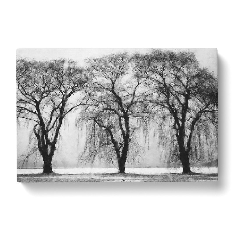 Three Trees At Winter - Wrapped Canvas, 50cm H x 76cm W x 3cm D