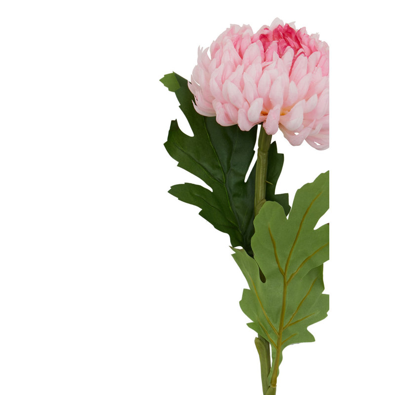 Fiori Chrysanthemum Arrangement