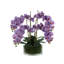 Maui Orchid Faux Floral in Vase