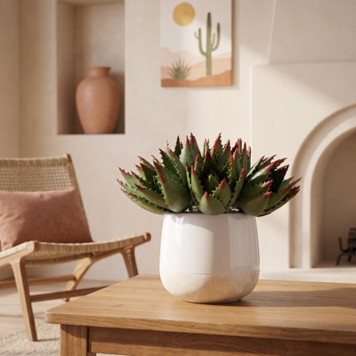 Aloès dans un vase en céramique