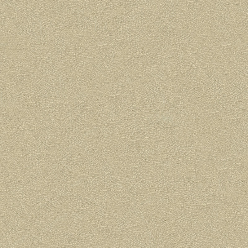 Kravet Design Grana Fabric, Beige