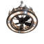 Tall Pines Downrod Ceiling Fan