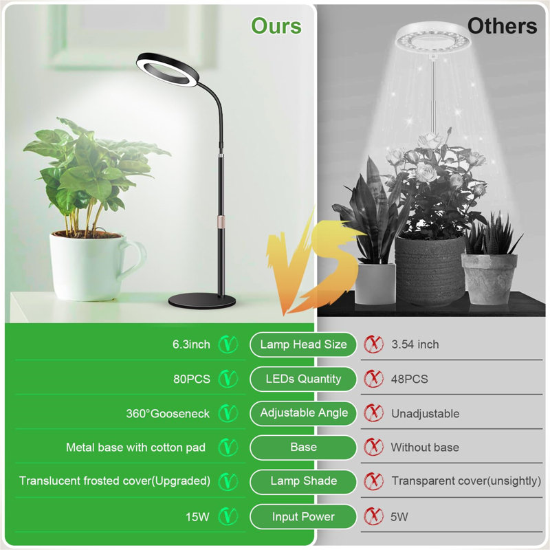 Naomi Grow Light