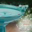 Ceramic / Porcelain Pedestal Birdbath-4462999