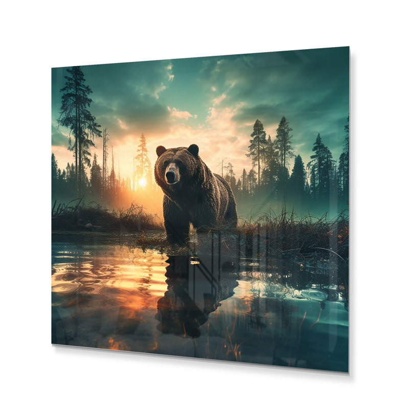 Double exposition Ours flare II - impression sans cadre sur métal, H 23 po x l 23 po x P 1 po