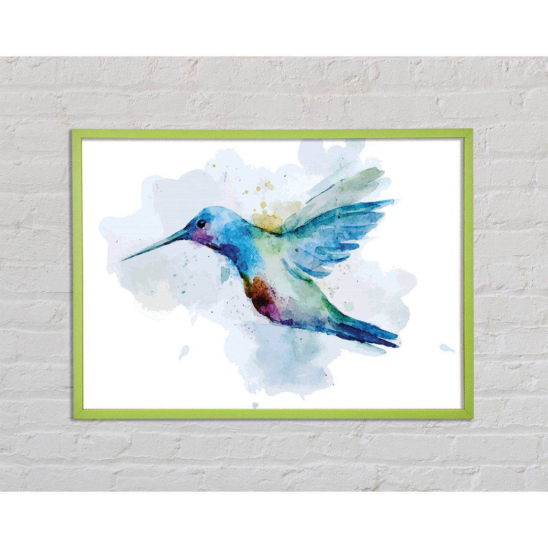 Creekmont Hummingbird Splash - Einzelner Bilderrahmen Kunstdrucke