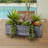 9'' Succulent Plant in Stone Planter