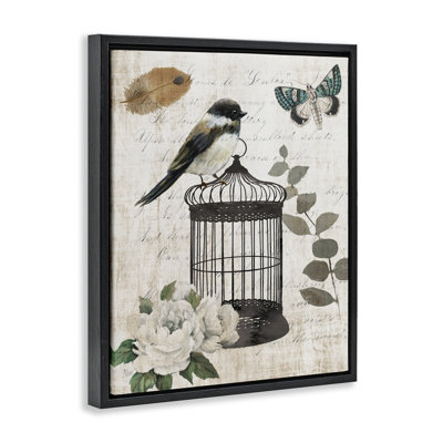 Vintage Menagerie Bird Floating Frame, design by Nan
