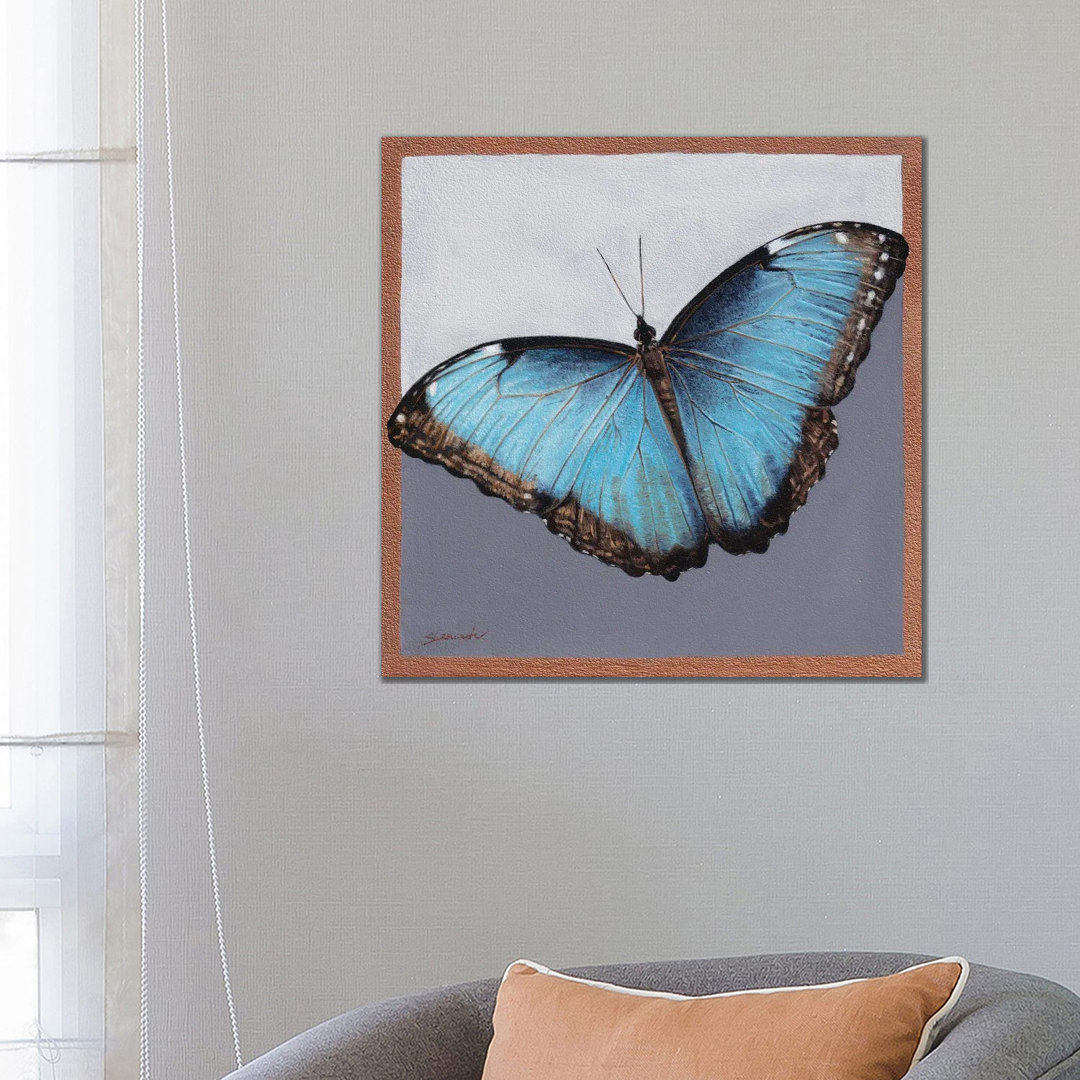 Blauer Morpho von Sally Lancaster - Galerie-verpackte Leinwand Giclée