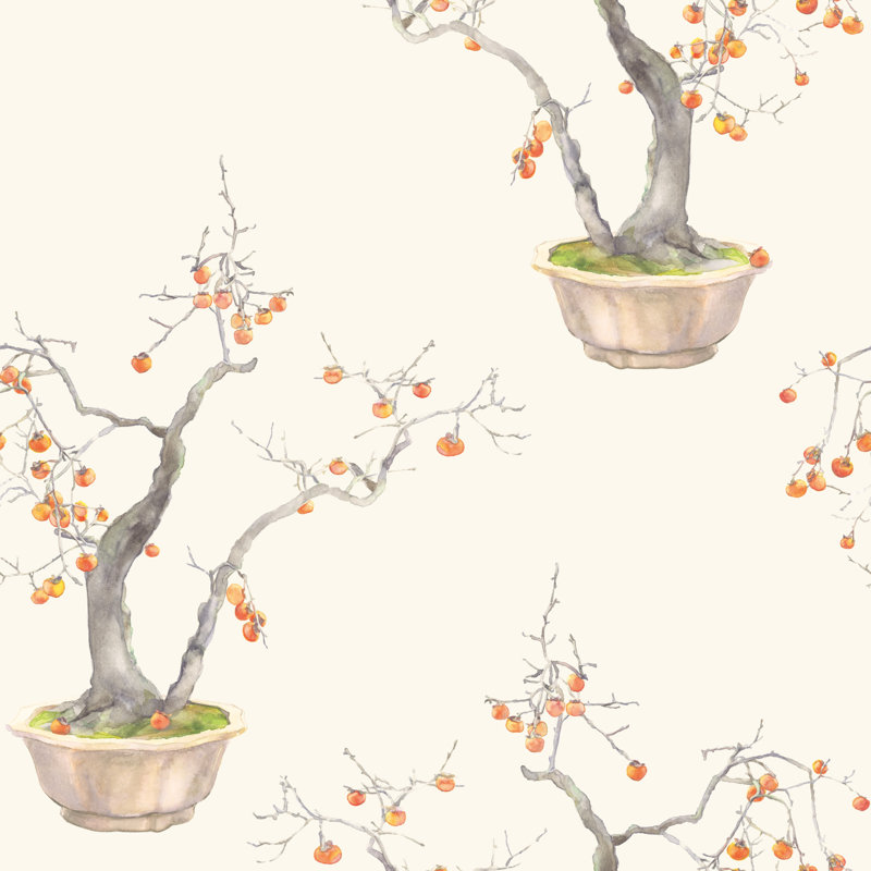 Kaki Persimmon, Irovy/Bergamot