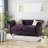 Loveseat Sofa