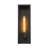 Ainsworth 18" H 1-light Clear Glass Shade Outdoor Wall Lantern