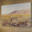 Morgan J Hartley - Wrapped Canvas Print-19836359