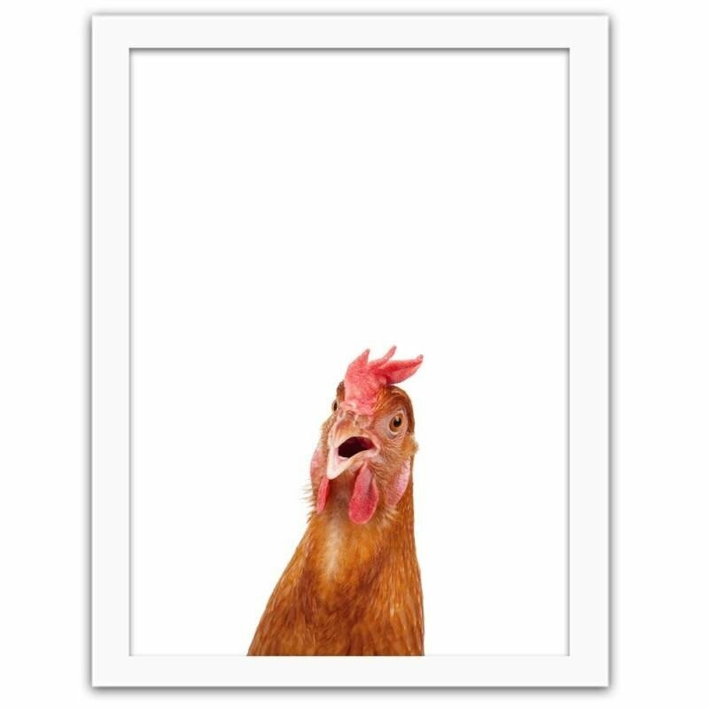 Gerahmter Fotodruck Chicken Small Photo Hidden