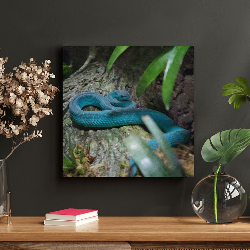 «A Blue Snake On A Rock», peinture sur toile tendue, H 32 po x l 32 po