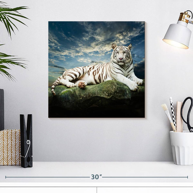 Brampt Lounging White Tiger, 16" H x 16" W