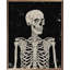 Portrait d'un skelly noir-477971671