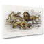 Lion, Tiger, Leopard & Jaguar by Oliver Goldsmith - Wrapped Canvas Print-55365635