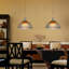 Farner 1 - Light Sliver Single Pendant