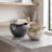 Anzalone Aluminum Decorative Bowl 2
