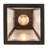 Roylance Steel Armed Sconce