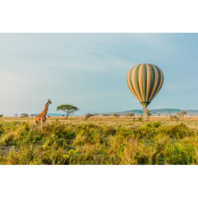 Montgolfière - photographie sur toile tendue