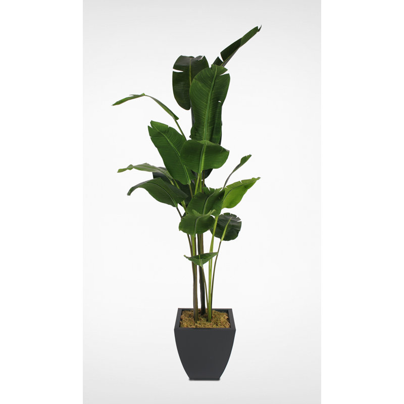 94'' Green Faux Bird Paradise Tree in Black Metal Pot