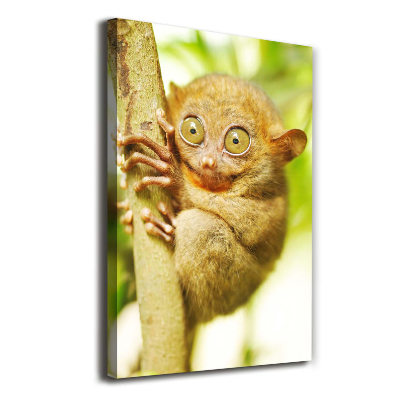 Spooky - Wrapped Canvas Print