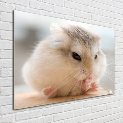 Hamster - No Frame Print on Glass