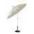 Tranquil Sage selected