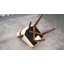 Task Chair-1094811492
