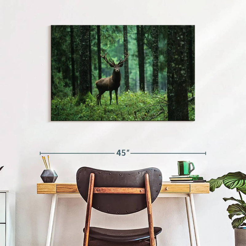Wapiti en forêt