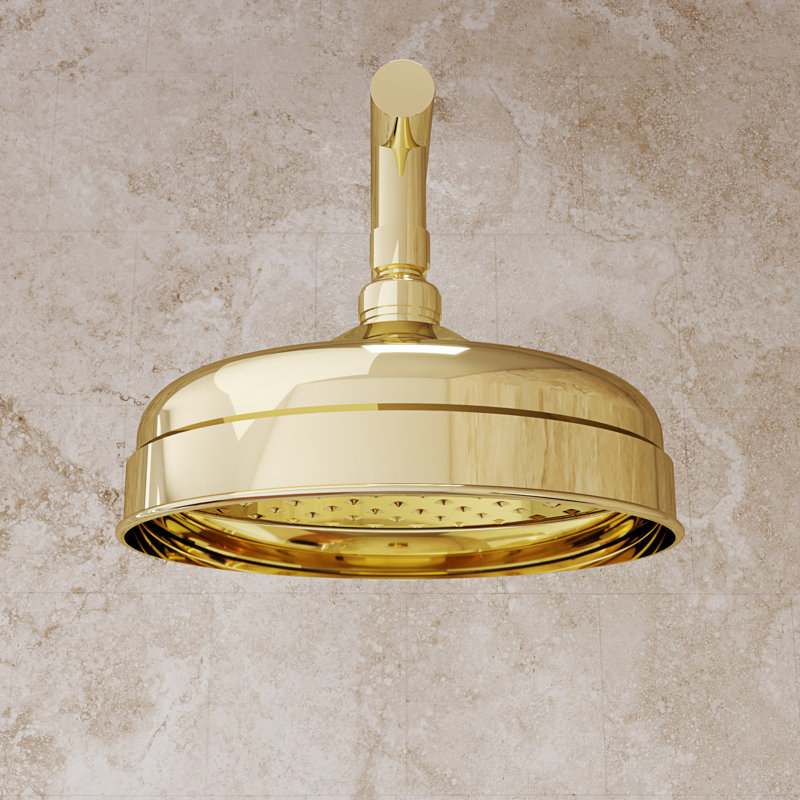 Levantine 8 in. Shower Head, Polished Brass, Polished Brass