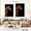 Cheval étalon Brampt Bay-108437537