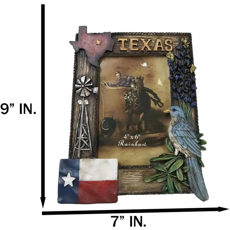 Rustic Western Patriotic Texas Mockingbird Windmill Bluebonnets Picture Frame