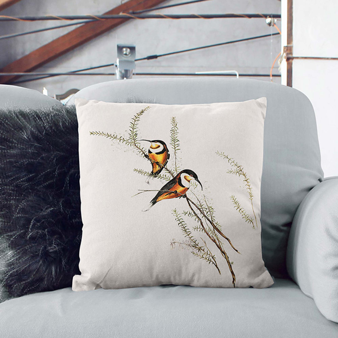 Slender Billed Spinebill Birds by Elizabeth Gould Cushion with Filling
