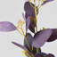 Branche d'eucalyptus artificiel Audet (1 tige)-640572630
