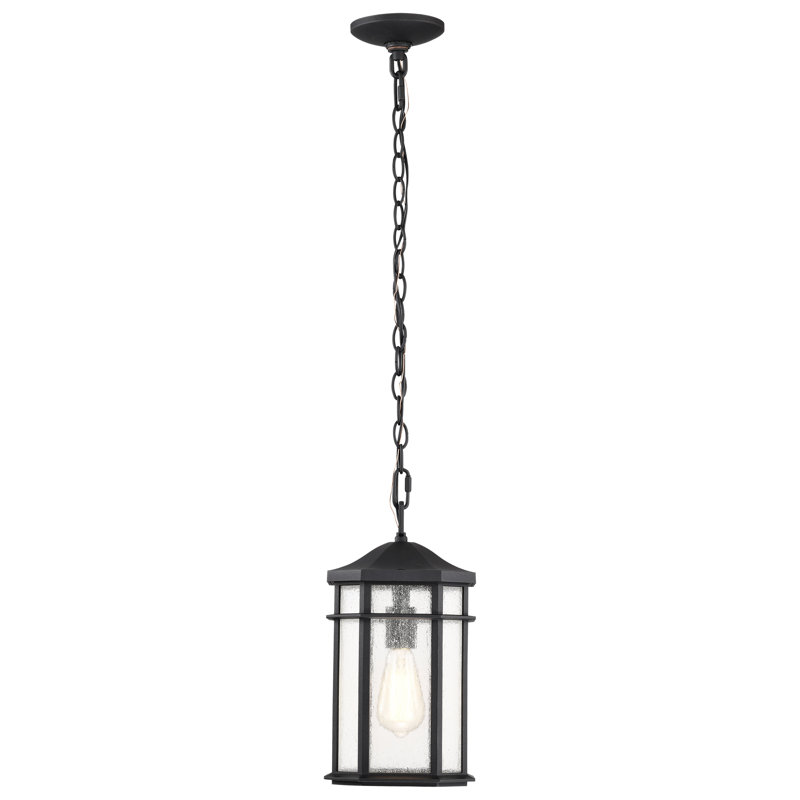Lanterne suspendue d'extérieur - 1 lumière - Noir mat - Verre transparent