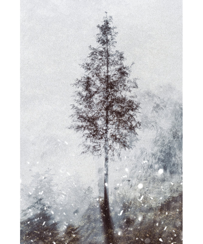 Wrapped Canvas Print, 76.2 cm H x 50.8 cm W