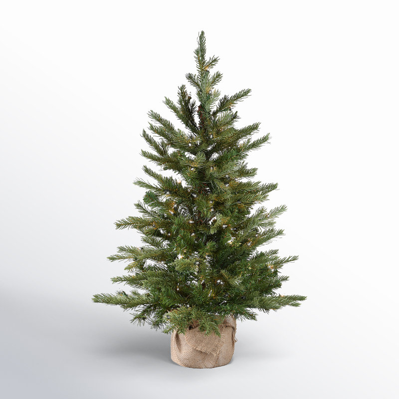 The Holiday Aisle® Nordic Spruce Tree with Clear Lights, 2.5'