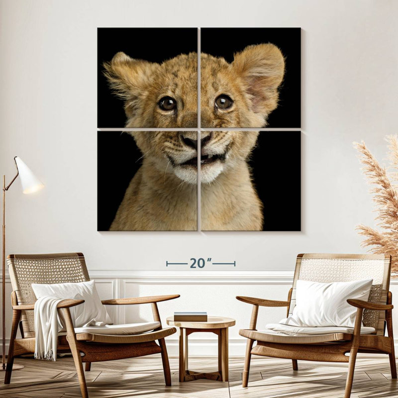 Petite tête de lion, H 57 po x l 57 po