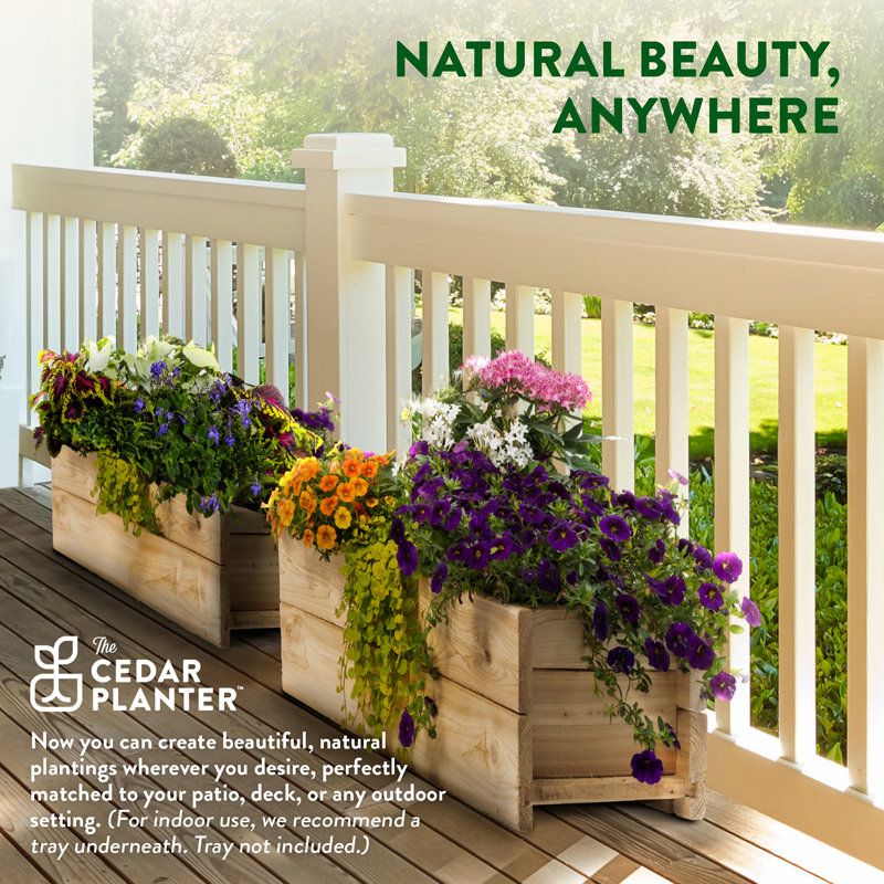 Natural Cedar Wood Rectangular Planter Box, 46" x 11"