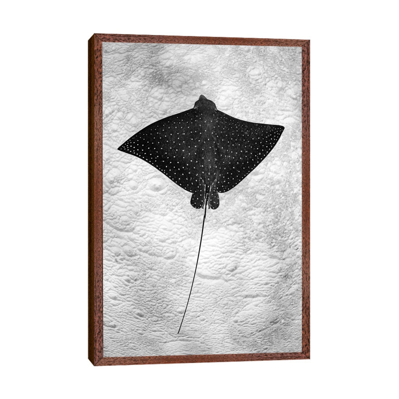 Spotted Eagle Ray Vertical by Jordan Robins - Print on Canvas, Classic Brown Wood Framed, 101.6cm H x 66.04cm W x 3.81cm D